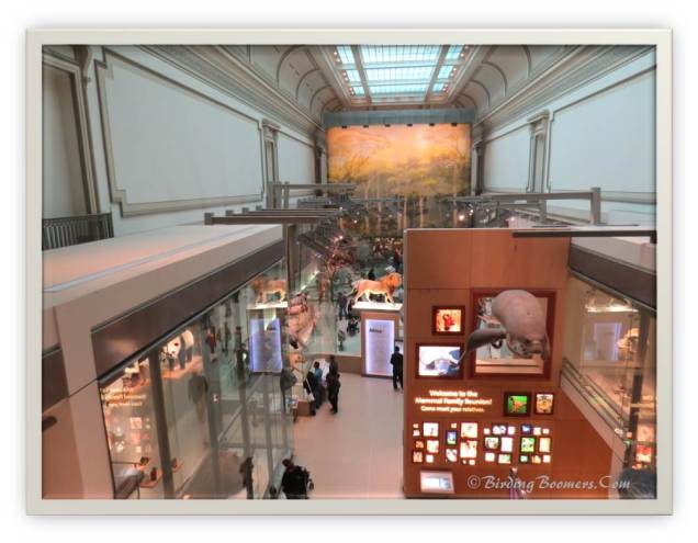 smithsonian1