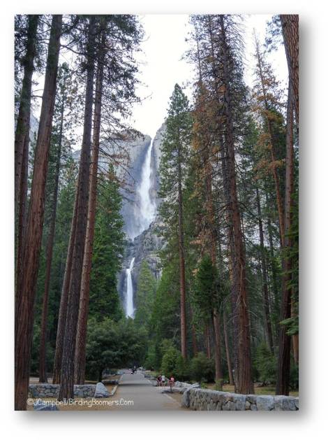 Yosemite Falls