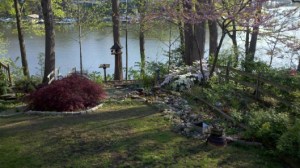 26May Photo 1 Garden