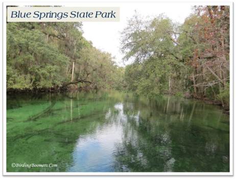 Blue Springs SP