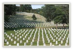 arlington rows 2