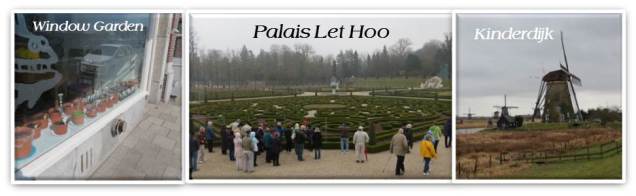 Photo 2 No tulips with text