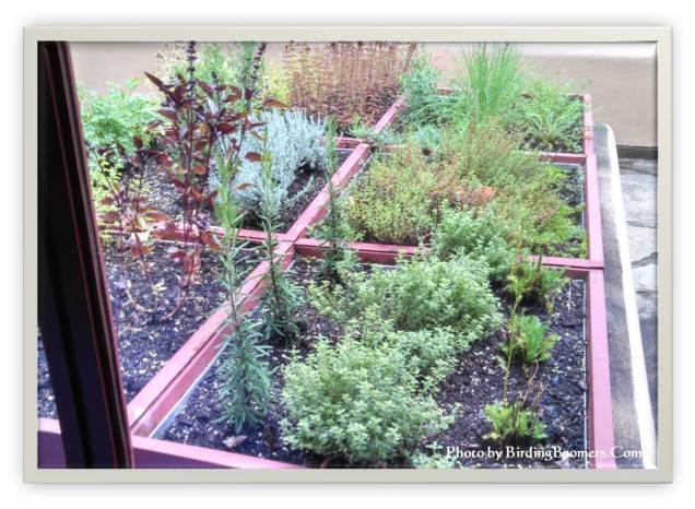 Herb Garden on Top