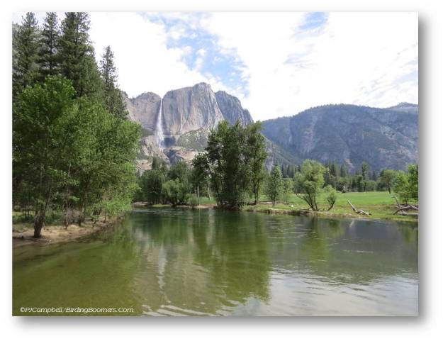 falls from swinging bridge