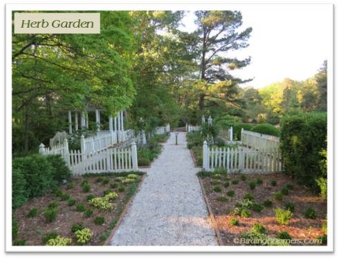 Herb Garden
