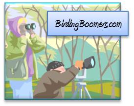 BB Logo Man and woman 3