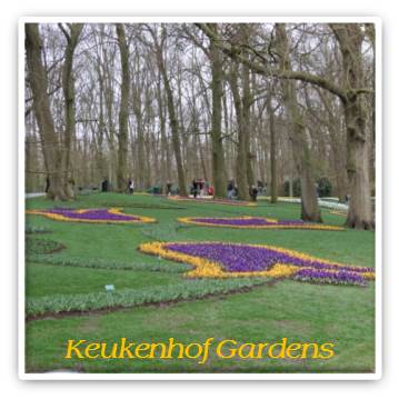 Photo 7 Gardens with text