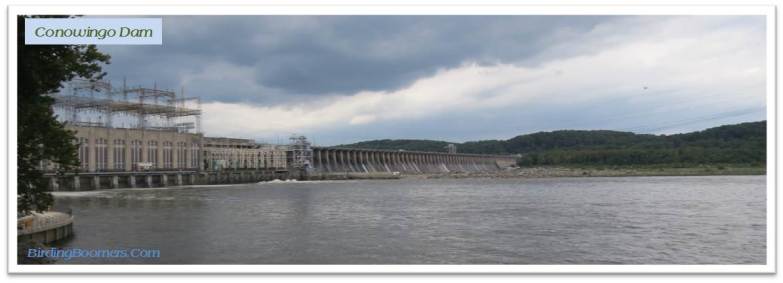 conowingo