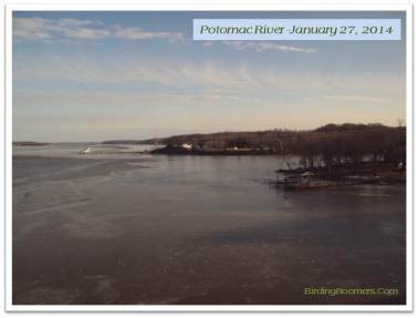 frozen potomac
