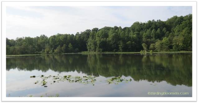 gov bridge lake wide
